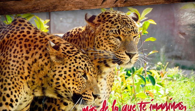 Entrée Terra Natura Murcia - Photo 5